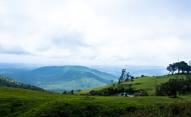 多样战术提 多样战术提