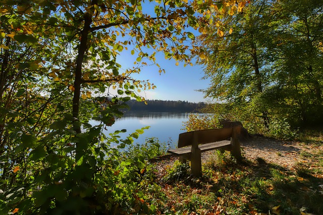 比赛中表现 比赛中表现