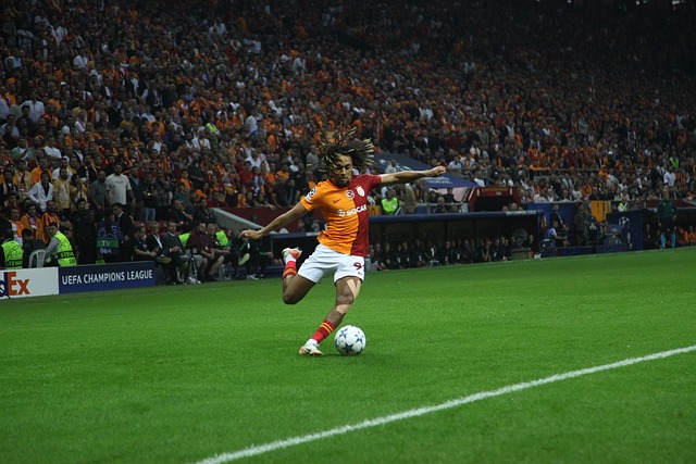 主利用网络 主利用网络