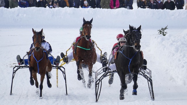 充满了激情 充满了激情