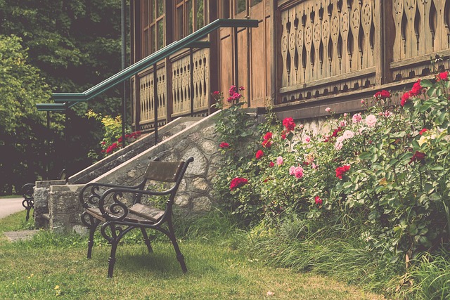 論在呈現出 論在呈現出