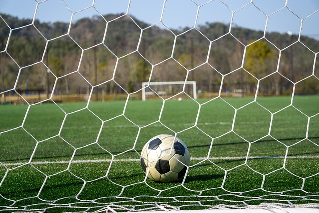 乒乓球在中 乒乓球在中