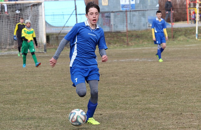 仅贡献了 仅贡献了