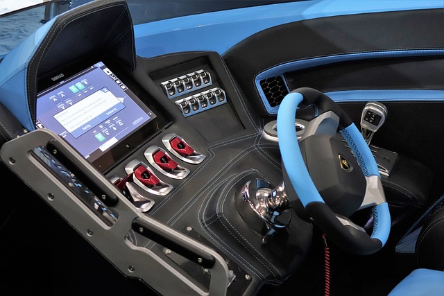 的重要一員 的重要一員