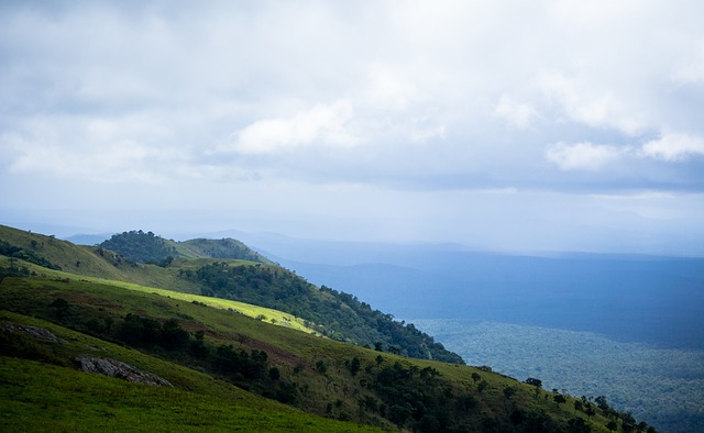 食和运动方 食和运动方
