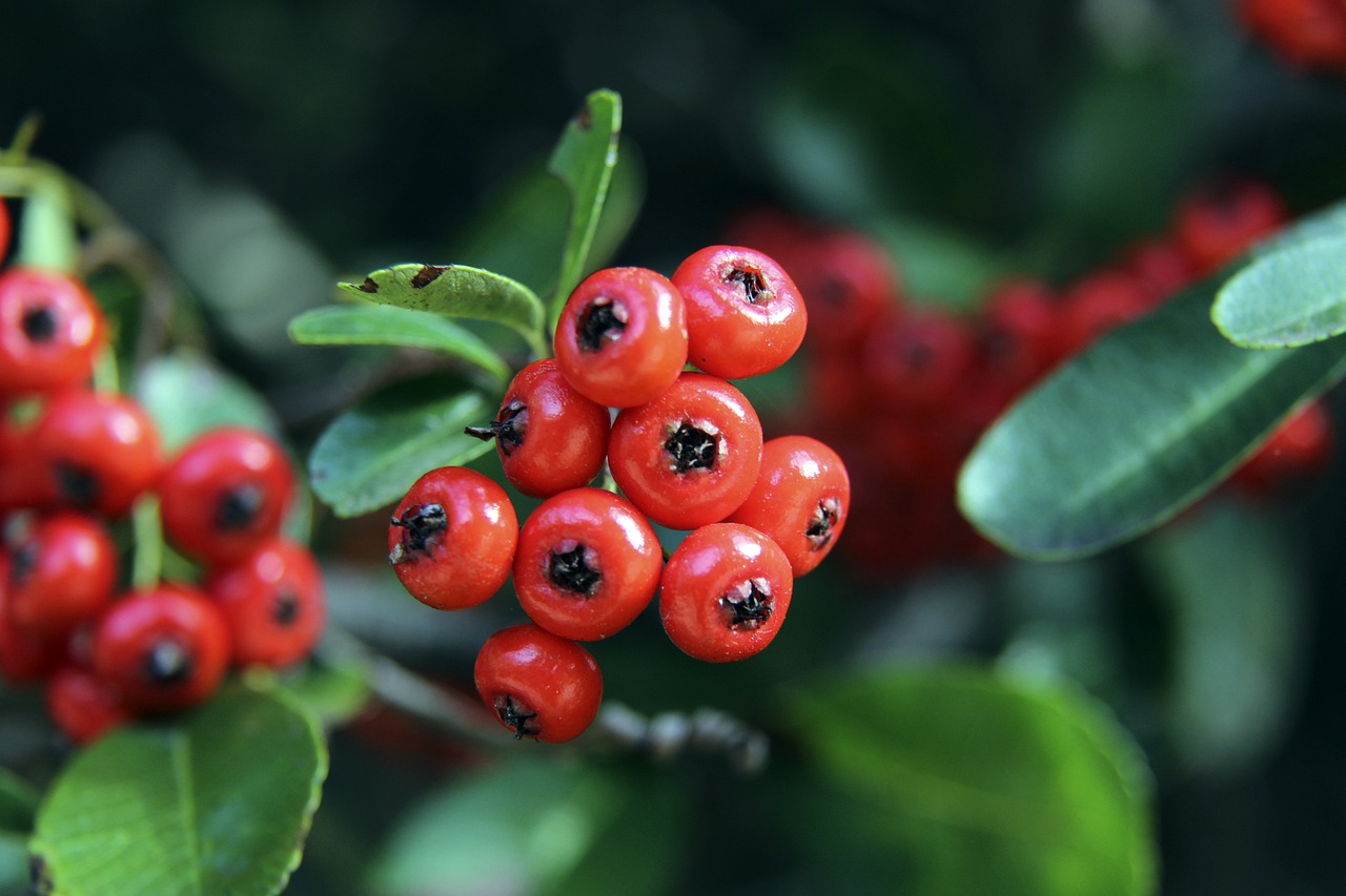 能避免失利 能避免失利